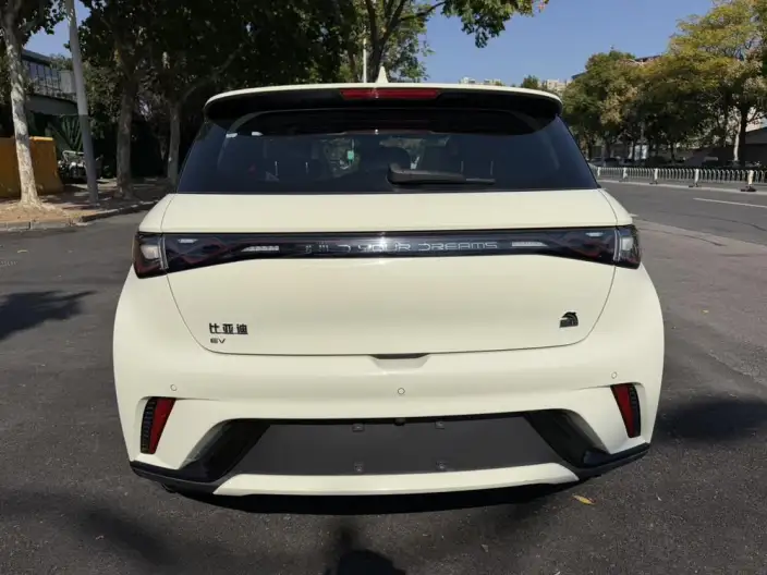 BYD Dolphin 2023 Model Free Edition – фото 5