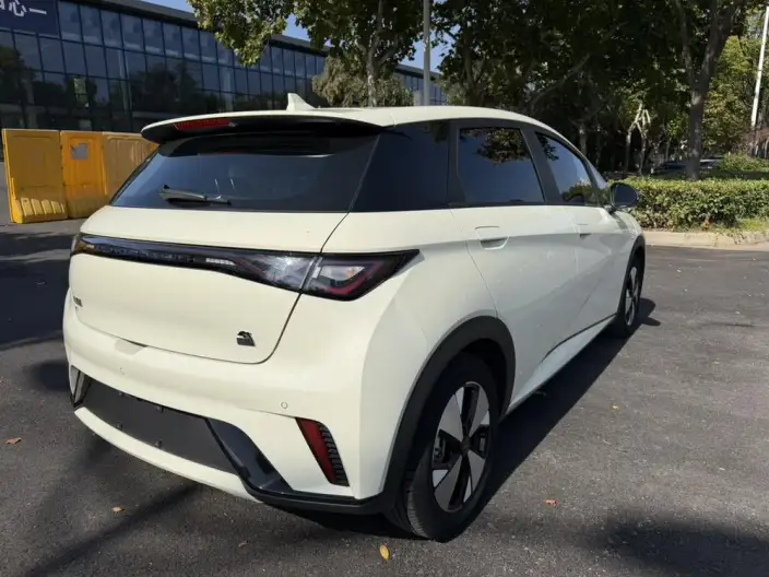 BYD Dolphin 2023 Model Free Edition – фото 6