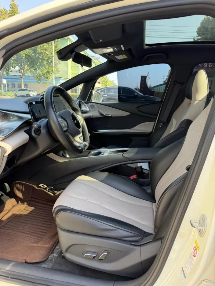 BYD Dolphin 2023 Model Free Edition – фото 8
