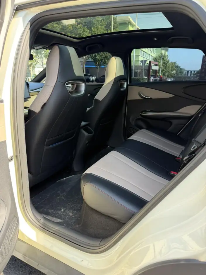 BYD Dolphin 2023 Model Free Edition – фото 9