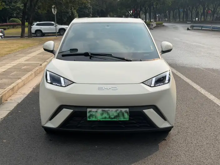 BYD Seagull 2025 Model 405KM Feixiang Edition – фото 2