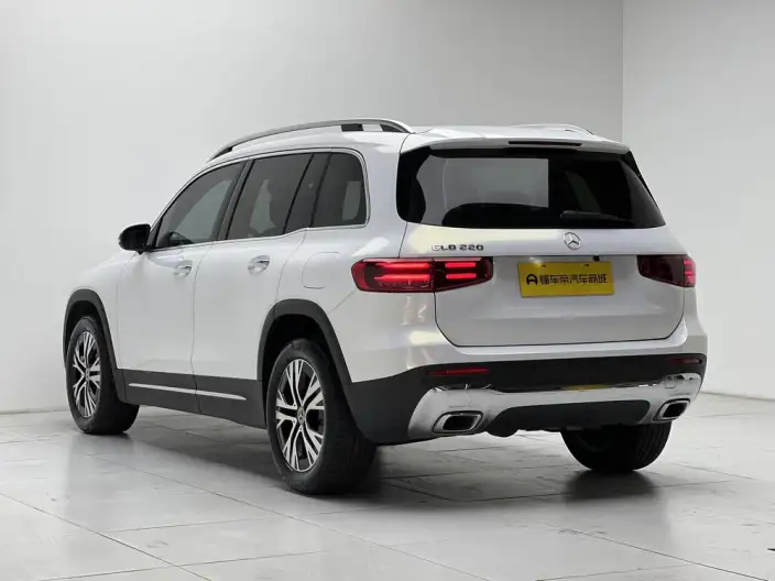 Mercedes-Benz GLB 2025 Model GLB 220 Dynamic Model – фото 5