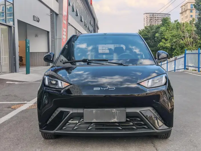 BYD Seagull 2023 Model Free Edition – фото 2