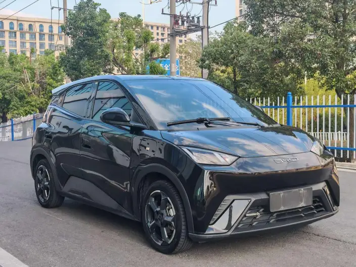 BYD Seagull 2023 Model Free Edition – фото 3
