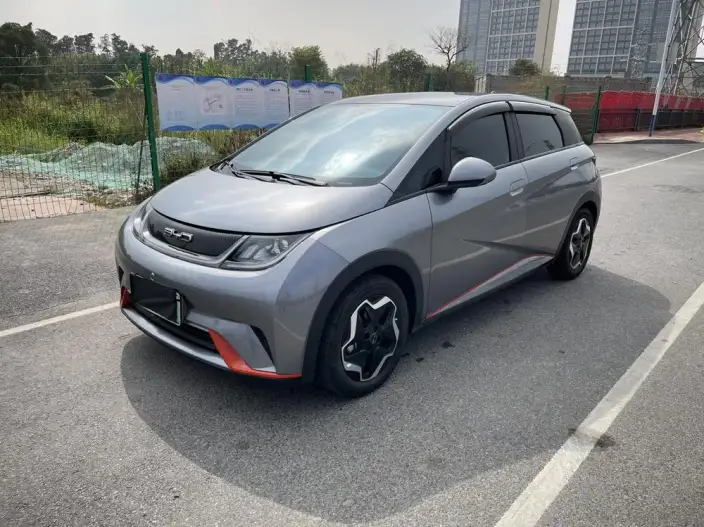 BYD Dolphin 2021 Model Fashion Edition