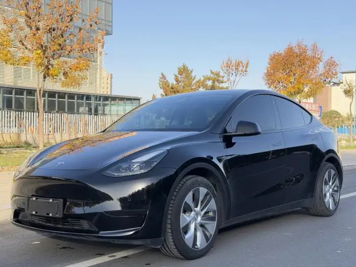 Model Y 2022 Model Facelift Rear-wheel drive version – фото 1