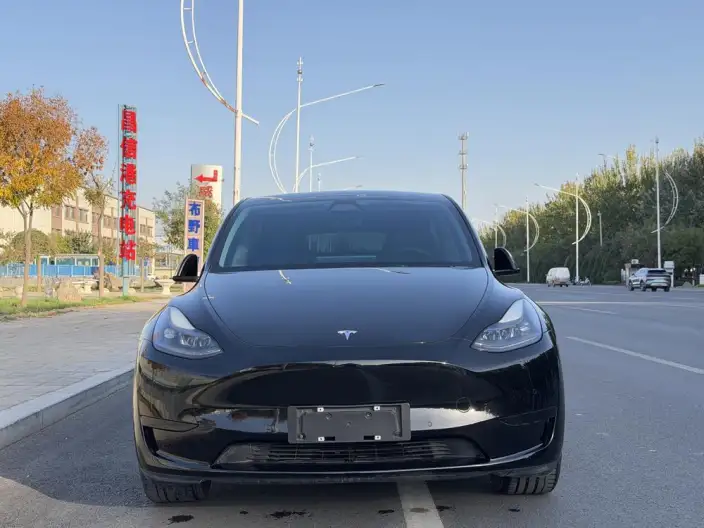Model Y 2022 Model Facelift Rear-wheel drive version – фото 2