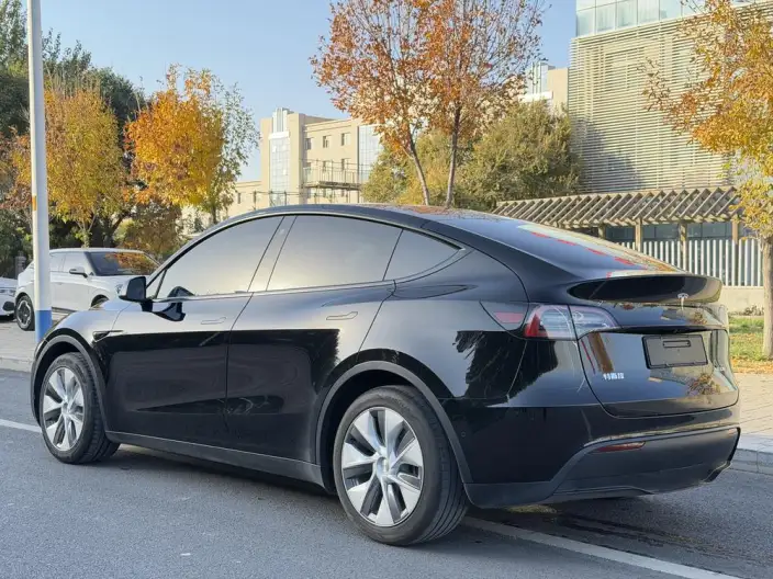 Model Y 2022 Model Facelift Rear-wheel drive version – фото 4