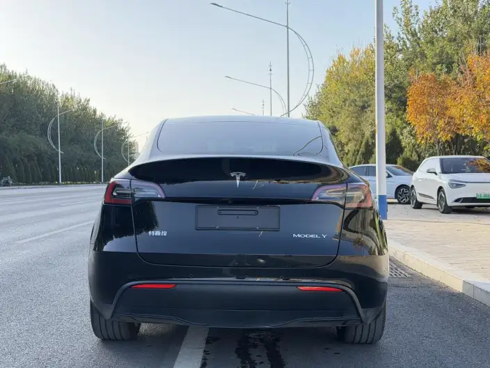 Model Y 2022 Model Facelift Rear-wheel drive version – фото 5