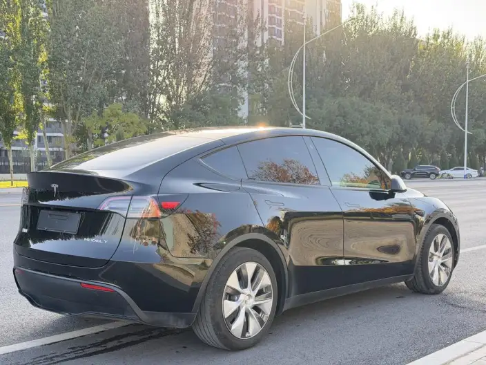 Model Y 2022 Model Facelift Rear-wheel drive version – фото 6