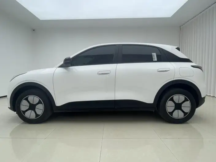 Geely Galaxy StarWish 2026 Model 310km Youth Edition – фото 4