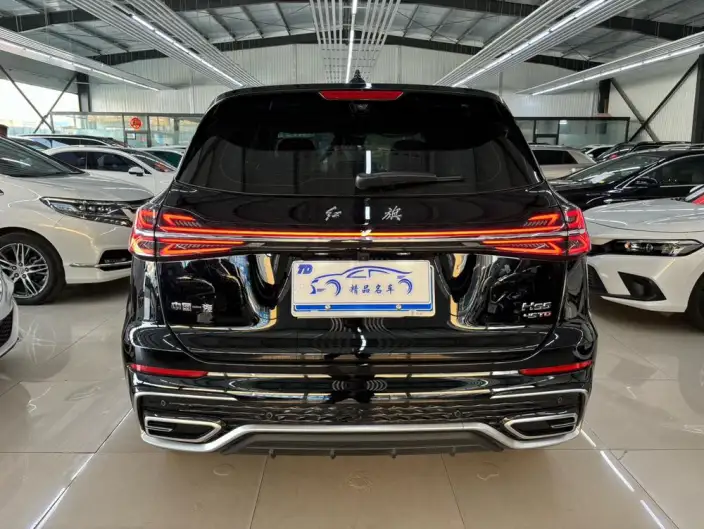 Hongqi HS5 2025 Model 2.0T Flag Xiang Pro Edition – фото 5