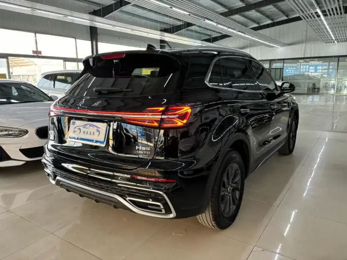 Hongqi HS5 2025 Model 2.0T Flag Xiang Pro Edition – фото 6
