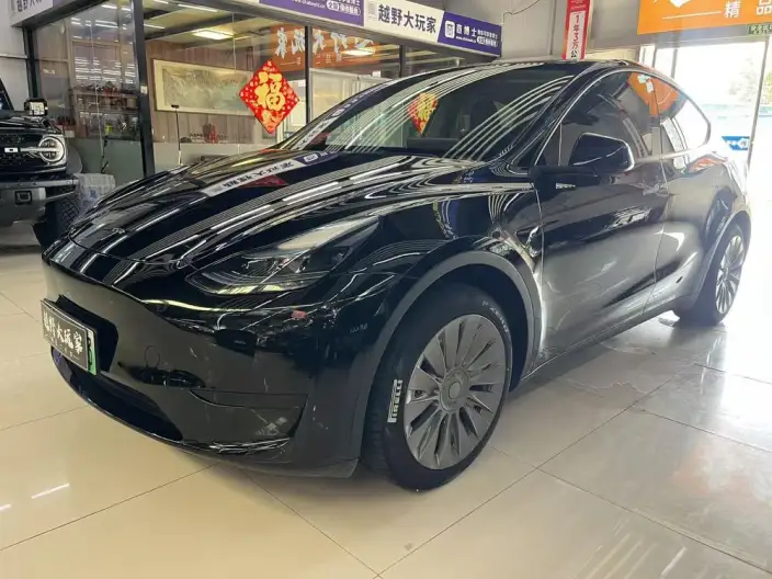 Model Y 2023 Model Rear-wheel drive version – фото 1