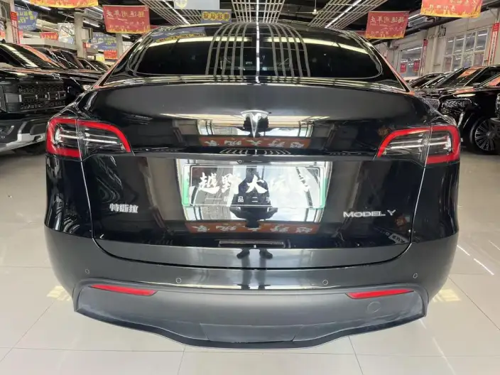 Model Y 2023 Model Rear-wheel drive version – фото 5