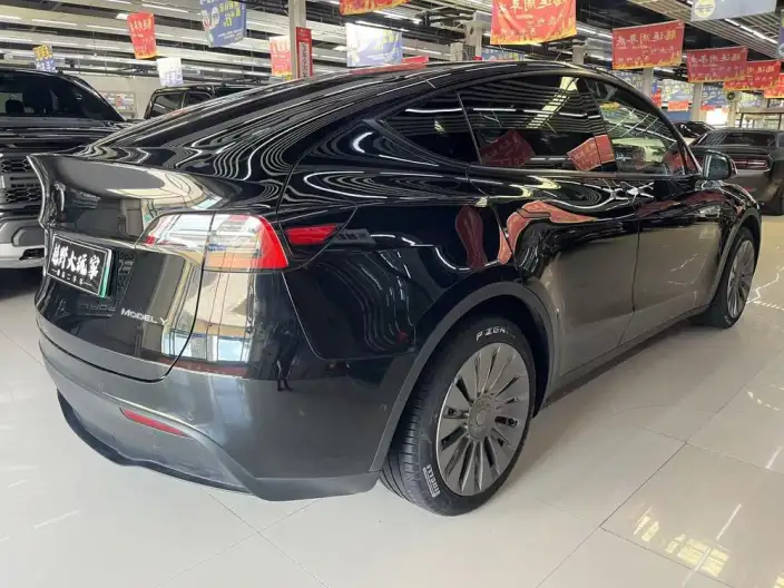 Model Y 2023 Model Rear-wheel drive version – фото 6