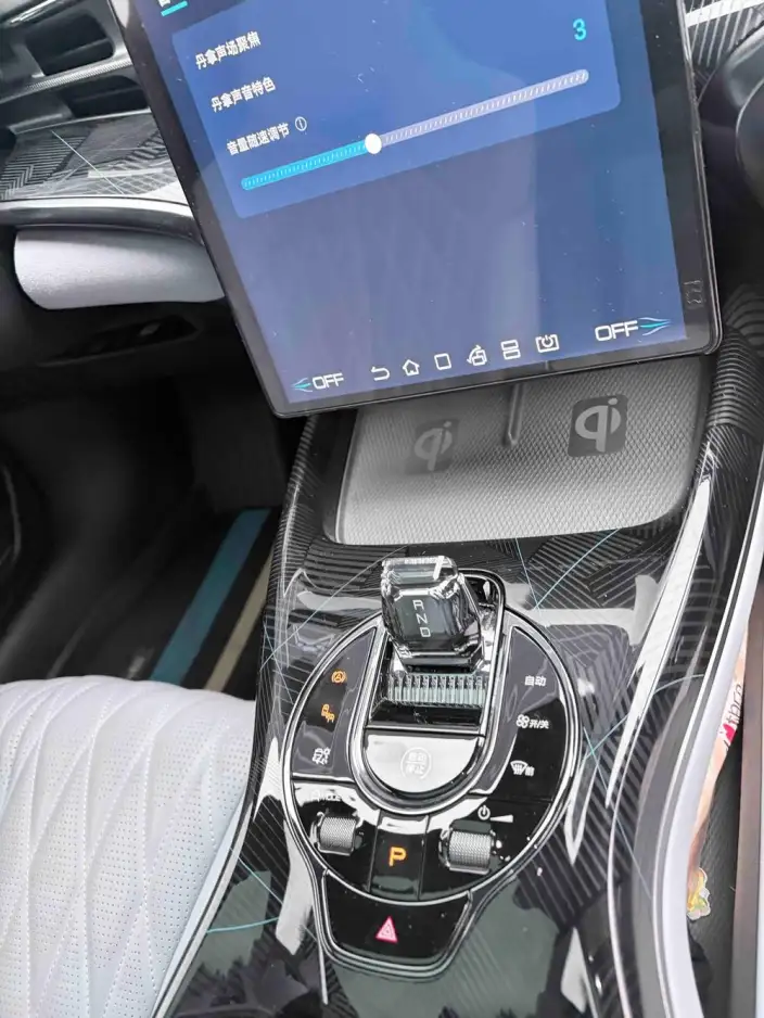 BYD Seal 2023 Model 700KM Champion Edition Noble Model – фото 5