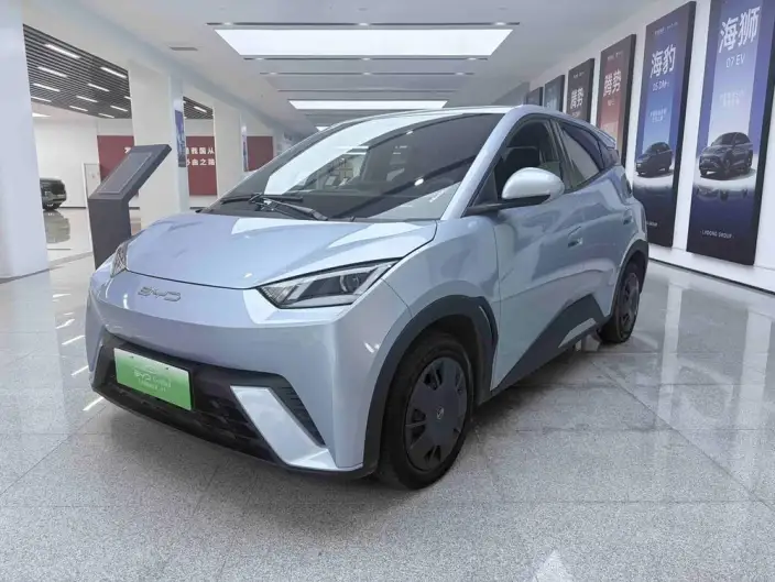 BYD Seagull 2024 Model Honor Edition 305KM Vitality Edition – фото 1