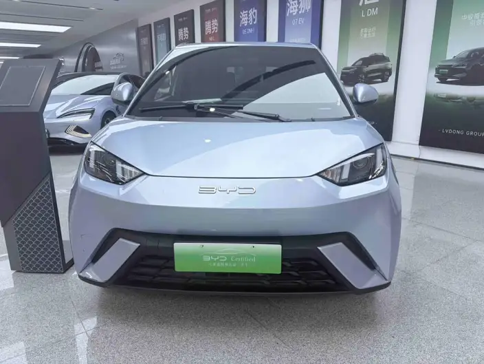 BYD Seagull 2024 Model Honor Edition 305KM Vitality Edition – фото 2