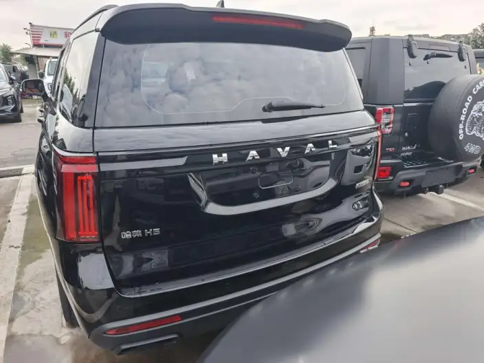 Haval H5 2025 Model 2.0T Diesel Pilot Automatic 4WD – фото 5