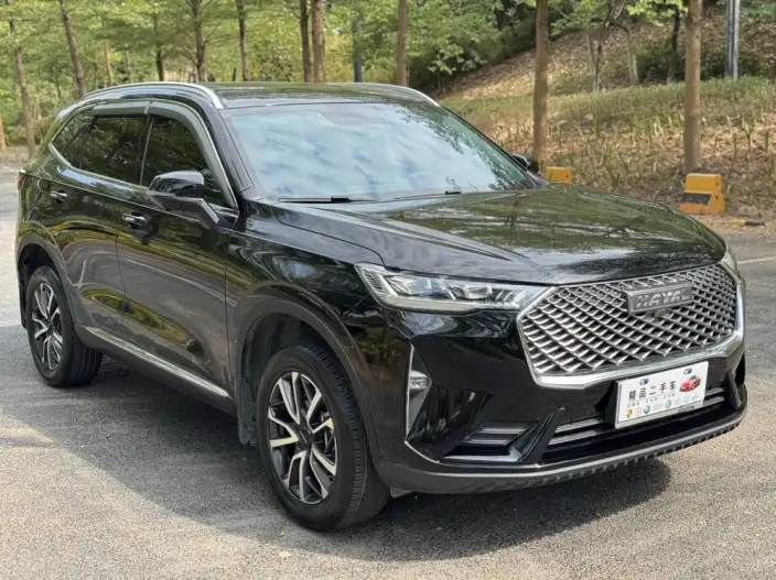 Haval H6 2022 Model Third generation 1.5T Automatic 2WD Pro – фото 3