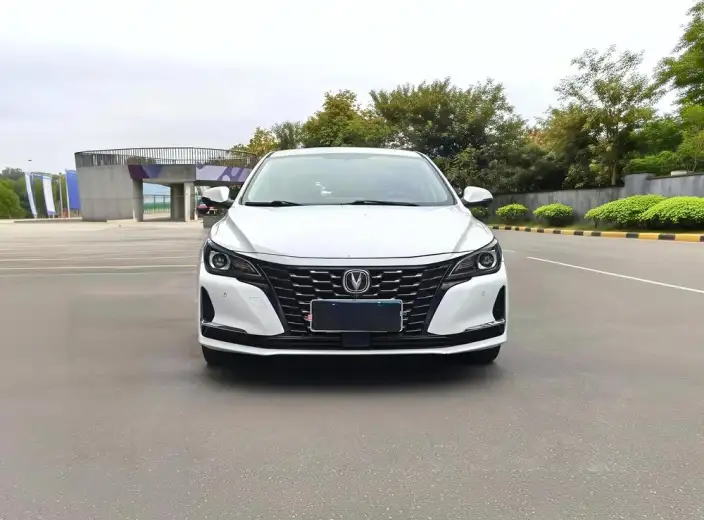 Changan Ruicheng CC 2022 Model Blue Whale Edition 1.5T DCT Luxury Model – фото 2