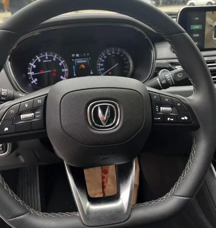 Changan Ruicheng CC 2022 Model Blue Whale Edition 1.5T DCT Luxury Model – фото 6