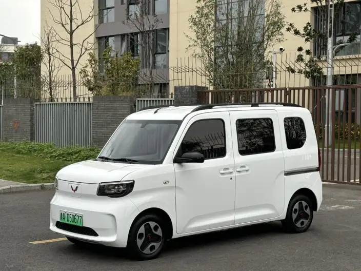 WULING Sunshine EV 2025 Model Enterprising Model