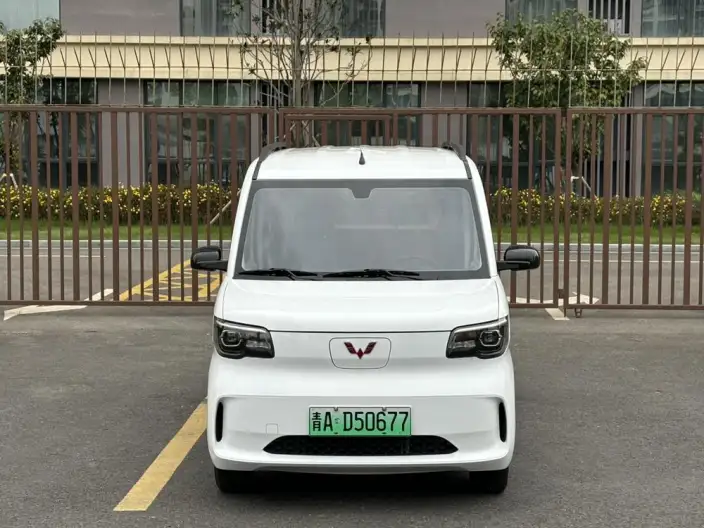 WULING Sunshine EV 2025 Model Enterprising Model