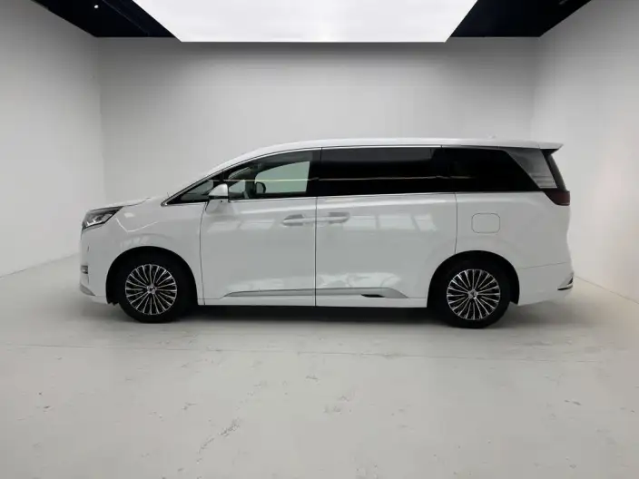 DENZA D9 DM 2022 Model 1040 Noble Model – фото 4