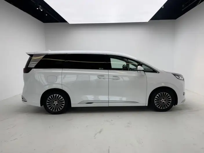 DENZA D9 DM 2022 Model 1040 Noble Model – фото 8