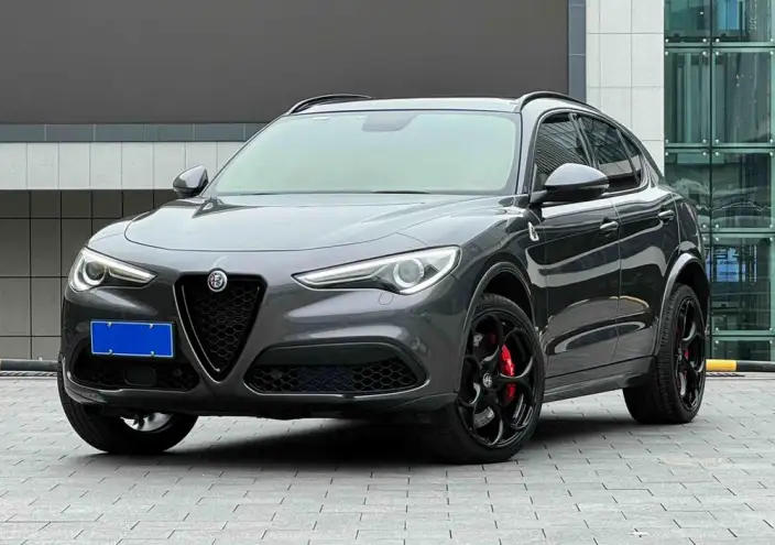 Alfa Romeo Stelvio 2021 Model 2.0T 280HP Deluxe Edition – фото 1