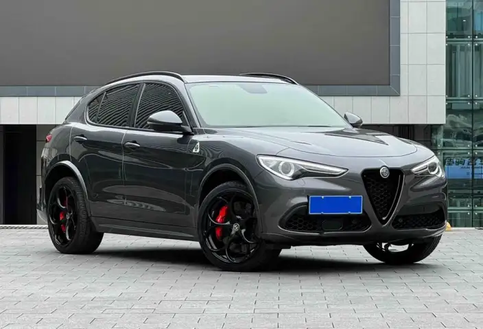Alfa Romeo Stelvio 2021 Model 2.0T 280HP Deluxe Edition – фото 2