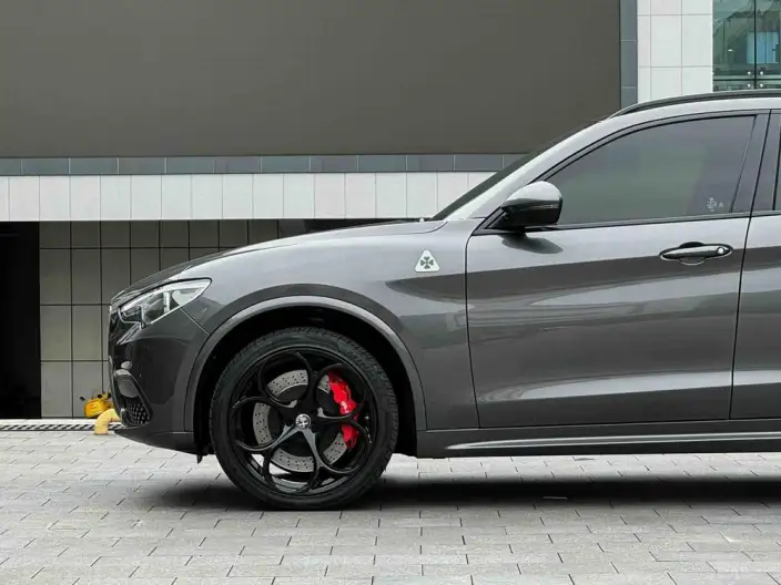 Alfa Romeo Stelvio 2021 Model 2.0T 280HP Deluxe Edition – фото 6