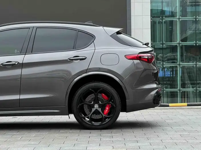 Alfa Romeo Stelvio 2021 Model 2.0T 280HP Deluxe Edition – фото 7