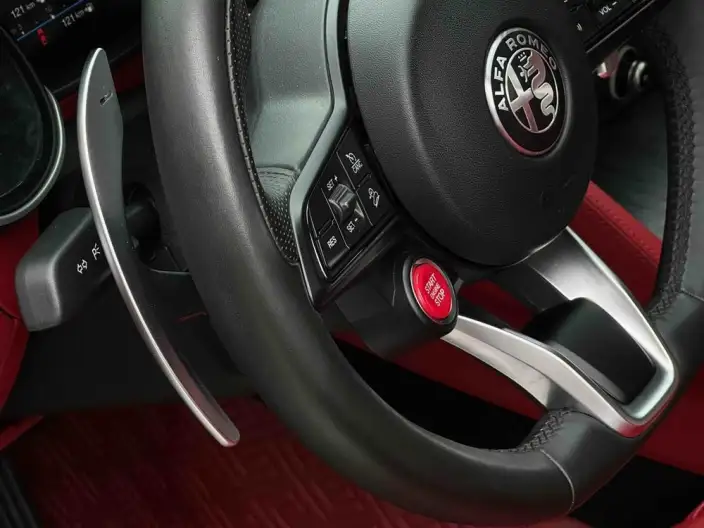 Alfa Romeo Stelvio 2021 Model 2.0T 280HP Deluxe Edition – фото 9