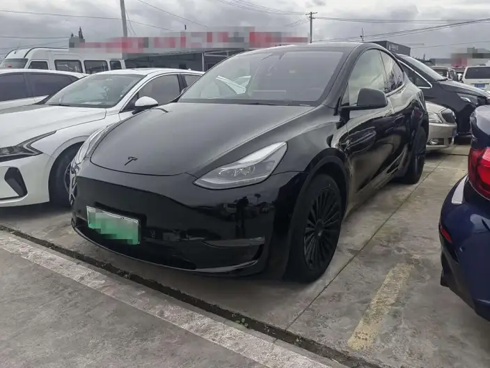 Model Y 2021 Model Facelift Long Battery Life Pro All-wheel drive version – фото 1