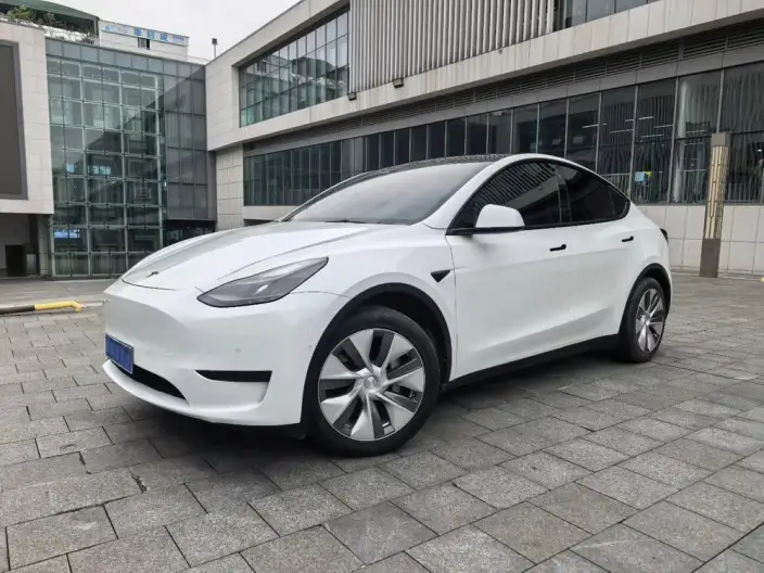Model Y 2022 Model Rear-wheel drive version – фото 1