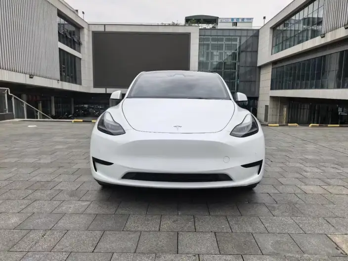 Model Y 2022 Model Rear-wheel drive version – фото 2