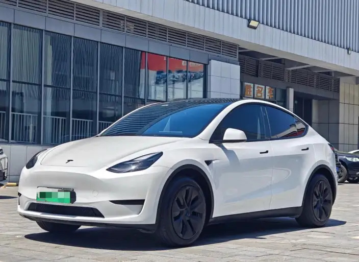 Model Y 2024 Model Rear-wheel drive version – фото 1