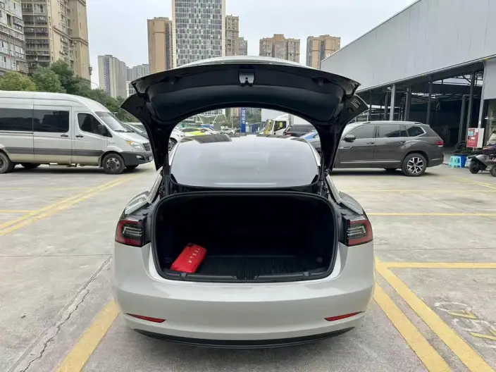 Model 3 2022 Model Rear-wheel drive version – фото 6