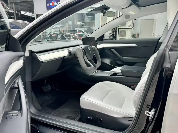 Model 3 2022 Model Rear-wheel drive version – фото 8