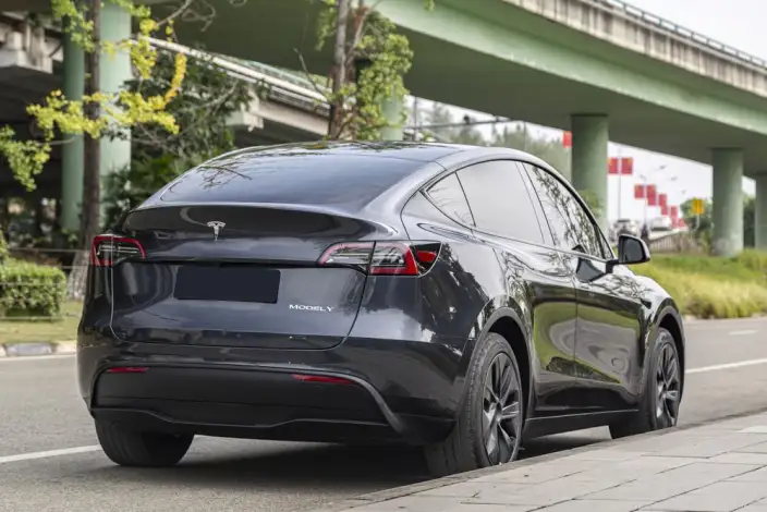 Model Y 2024 Model Rear-wheel drive version – фото 6