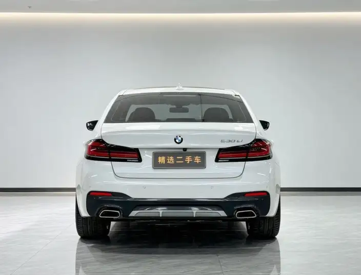 BMW 5 Series 2023 Model Facelift 530Li Leading Model M Sports Set – фото 6