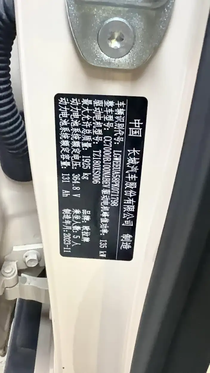 ORA Good Cat 2023 Model 401km Standard Battery Life Zunrong Model Lithium Iron Phosphate – фото 10