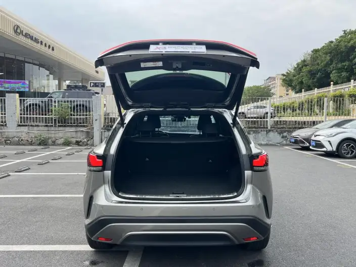 Lexus RX 2023 Model 350h 2WD Yuexiang Edition – фото 8