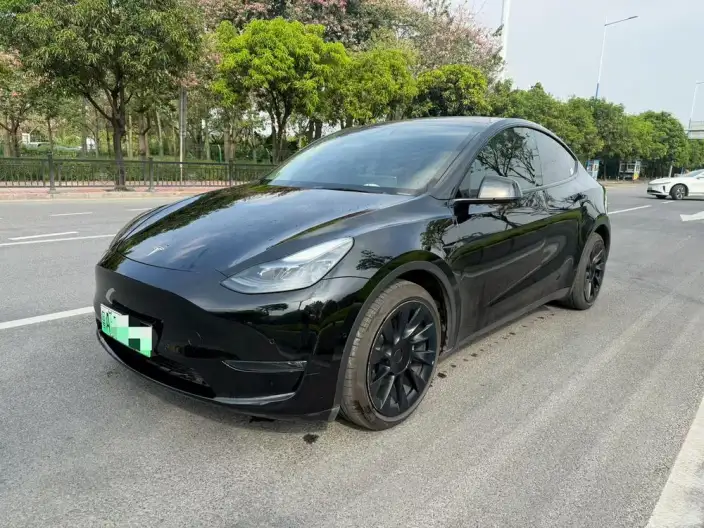 Model Y 2022 Model Rear-wheel drive version – фото 1