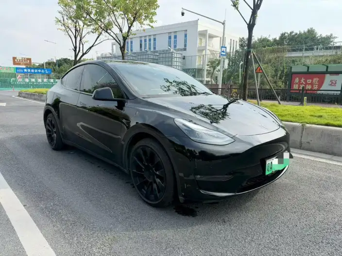 Model Y 2022 Model Rear-wheel drive version – фото 3