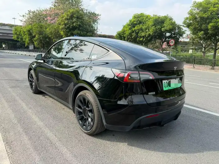 Model Y 2022 Model Rear-wheel drive version – фото 4