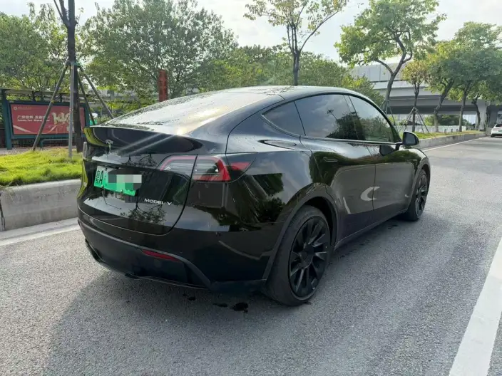 Model Y 2022 Model Rear-wheel drive version – фото 5